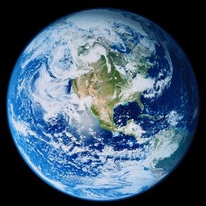 Meet your Posher, Bella